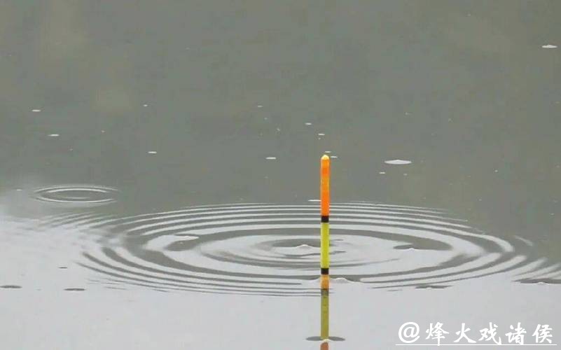别再乱提竿！小飞哥拆解四大漂相：抓住这一种，中鱼率飙升95%