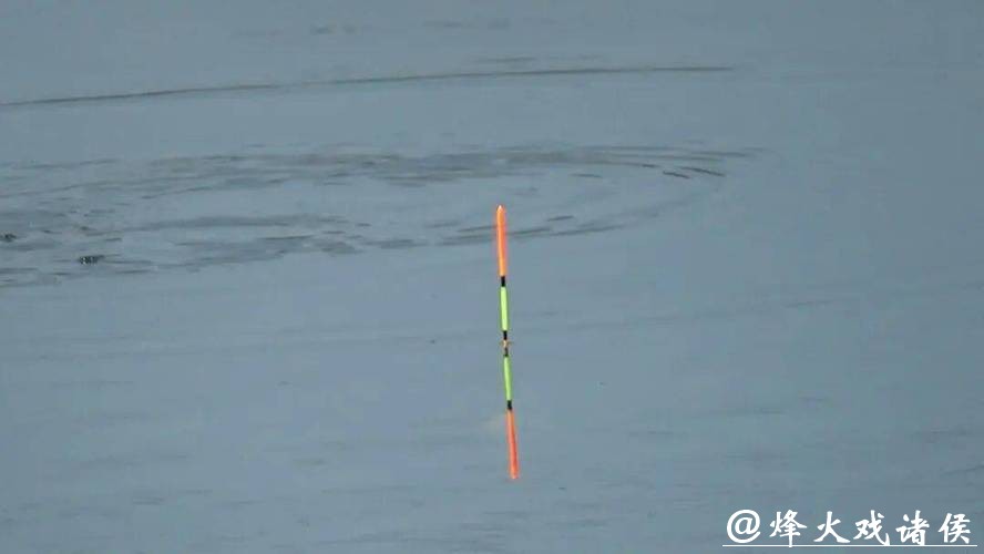 别再乱提竿！小飞哥拆解四大漂相：抓住这一种，中鱼率飙升95%