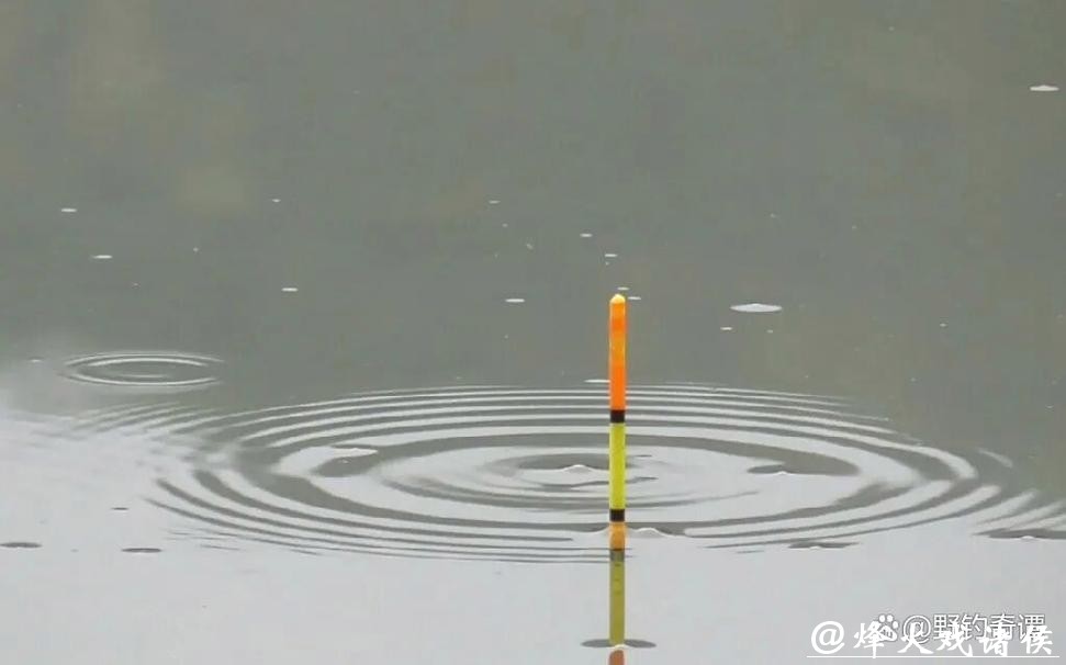 别再乱提竿！小飞哥拆解四大漂相：抓住这一种，中鱼率飙升95%